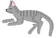 cattigera.gif (2213 bytes)