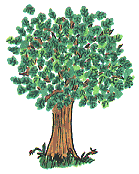 tree0002.gif (10437 bytes)