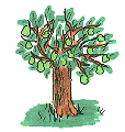 tree0009.gif (6123 bytes)