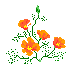bell.gif (593 bytes)