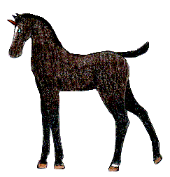 fireopal1.gif (9948 bytes)