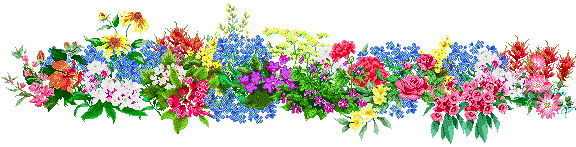 flowbar2.gif (31414 bytes)