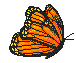 butterf4.gif (1775 bytes)