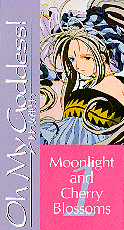 Moonlight and Cherry Blossoms