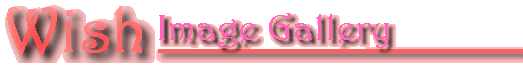 Wish Image Gallery