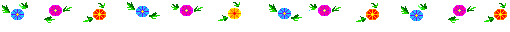 Hummbird.gif (2405 bytes)