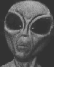 Visitor