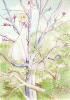 Kohaku (346KB)