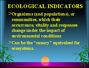 Slide 7