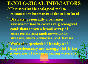 Slide 9