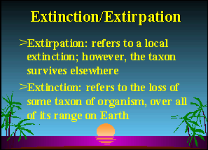Slide 10