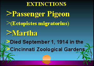Slide 11