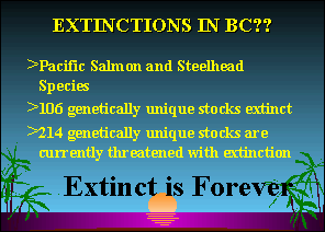 Slide 13