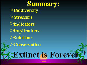 Slide 26