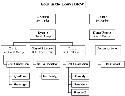 Soils