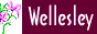 GeoCities