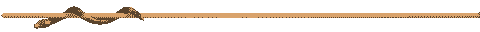 snake 
on bamboo