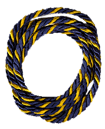 Webelos Chief Braid