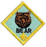 Bear Patch