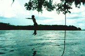 Take A Dip!