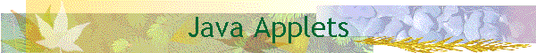 Java Applets