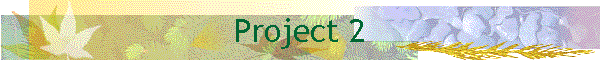 Project 2