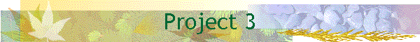 Project 3