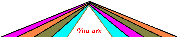You are