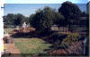 wpe40260.gif (161707 bytes)