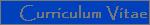 Curriculum Vitae