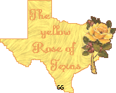 Texas Yellow Rose