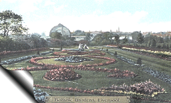 One of the 6 ornamental bedding schemes within the garden