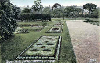 Carpet bedding with the aviary in the background and the roofs of Botanic road to the rear. Circa 1906