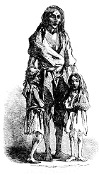 The Irish famine