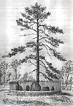 The stones enclosed by Need Walker