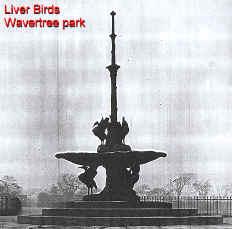 A flock of Liver Birds in the centre of Wavertree Park circa 1920's
