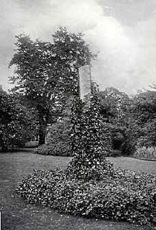 The Hartley Stone in Harthill, 1905