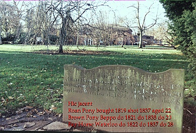 The memorial to the estate horses------ in Need Walkers era.