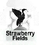 Strawberry Fields ----John Lennon's playground