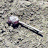 cleanup