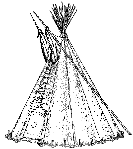 Tipi